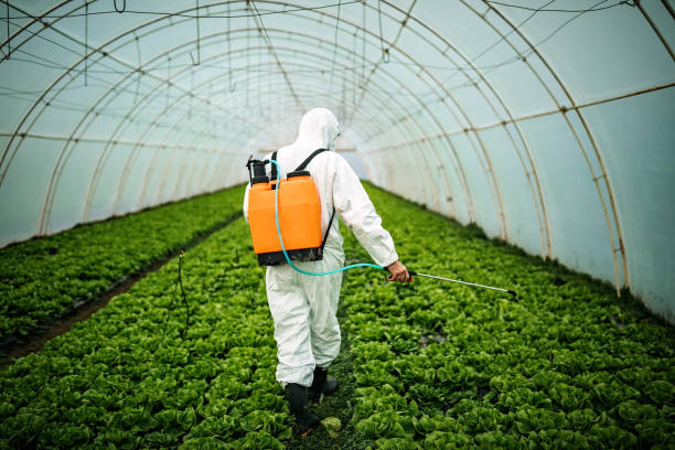 Best Best Pest Control Companies  in Choudrant, LA