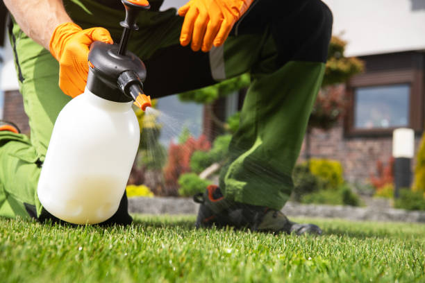 Best Best Pest Control Companies  in Choudrant, LA
