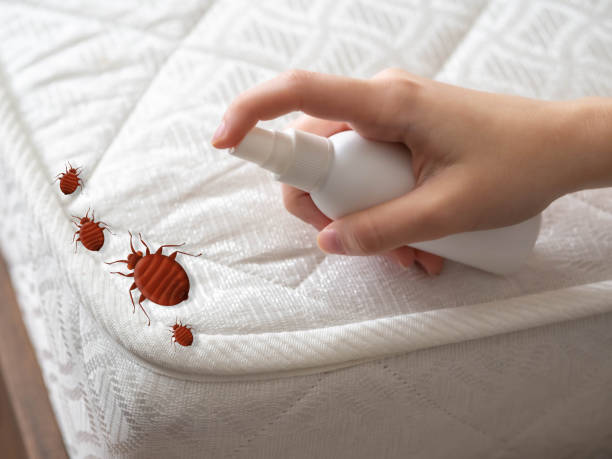 Best Affordable Pest Control Services  in Choudrant, LA