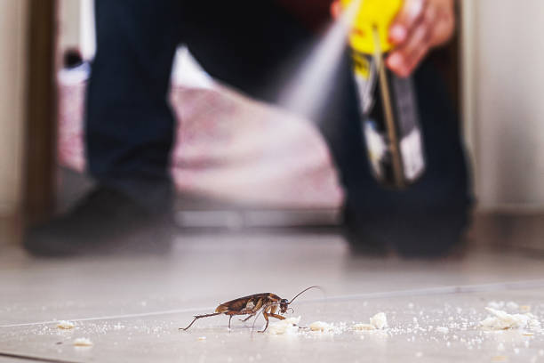 Best Exterminator Services  in Choudrant, LA