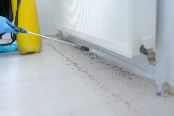 Professional Pest Control in Choudrant, LA