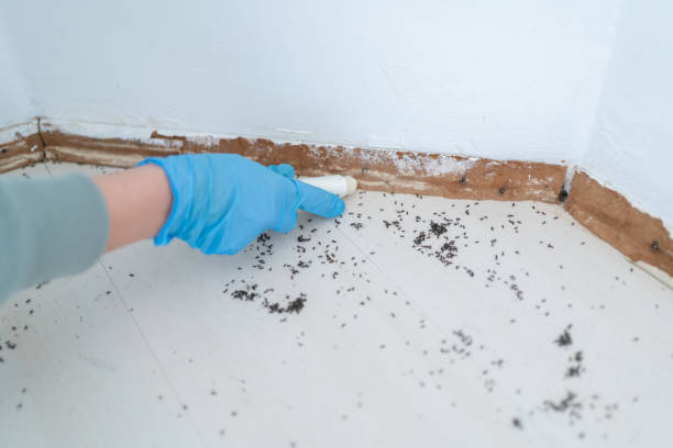 Best Residential Pest Control  in Choudrant, LA