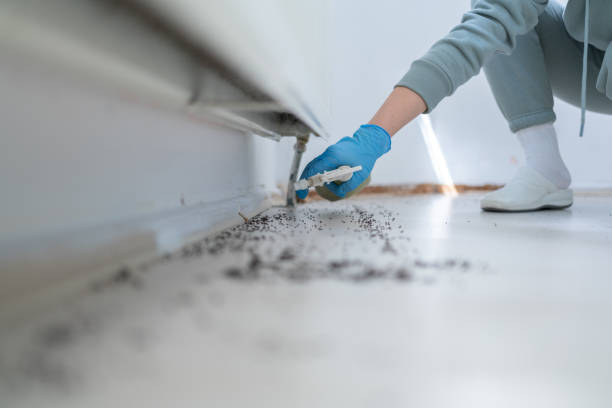 Best Best Pest Control Companies  in Choudrant, LA